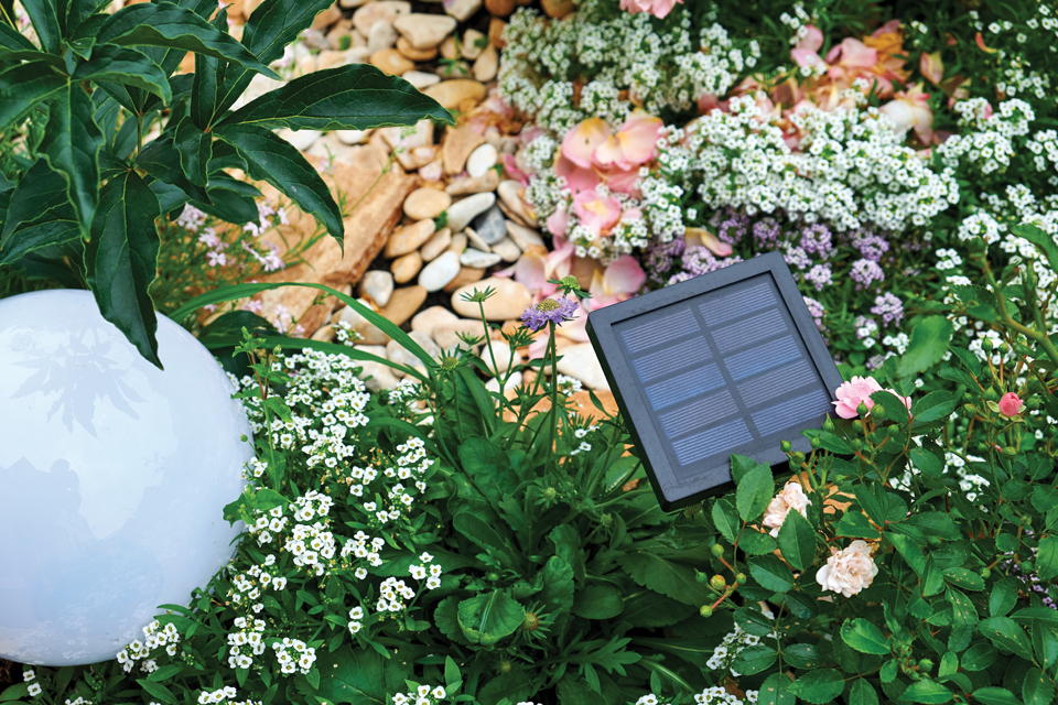 solar lights in garden