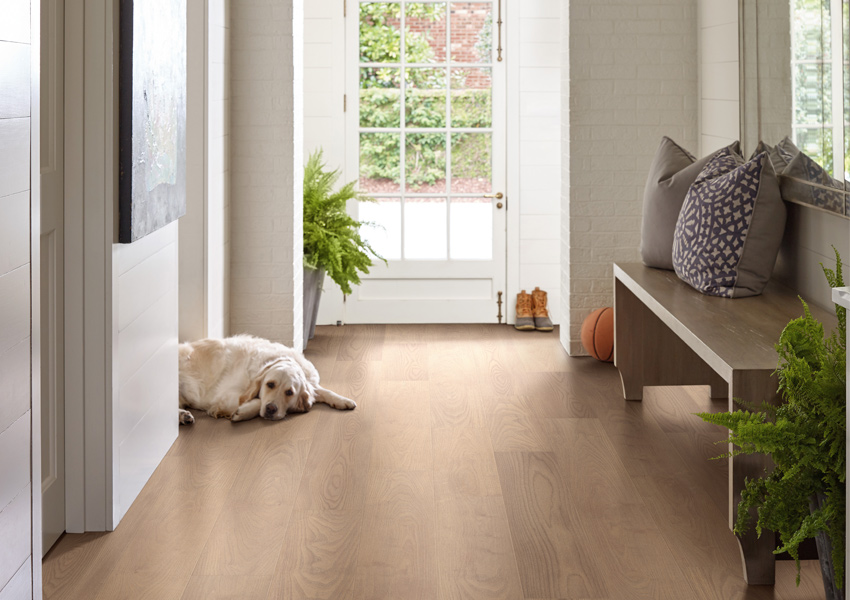 dog laying on hardwood flooring in hallway with wood bench.